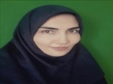 درخشش استاد دانشگاه بناب در جمع برترین دانشمندان مهندسی مواد ایران؛