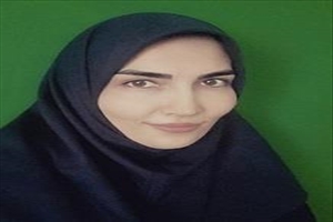 درخشش استاد دانشگاه بناب در جمع برترین دانشمندان مهندسی مواد ایران؛
